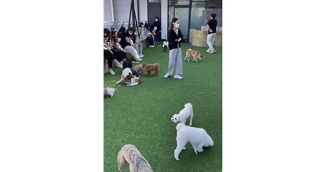 애견카페를 즐기는 사람들의 모습