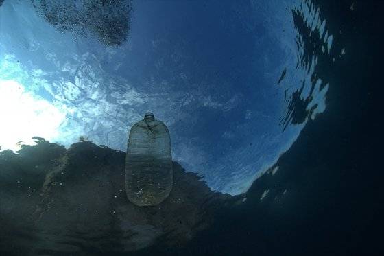 백도 바닷속에 페트병이 떠있다. 국립공원을지키는시민의모임