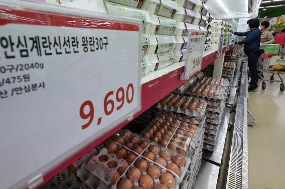 서울의 한 대형마트 신선식품 코너에서 계란이 진열돼 있다.(사진=연합뉴스)