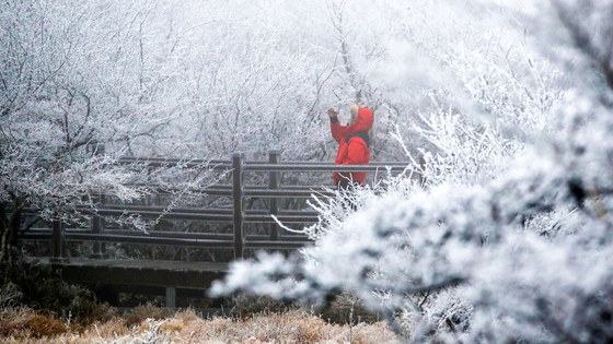 A hiker takes photos of snow on Mount Halla in Jeju Island Wednesday. [NEWS1]