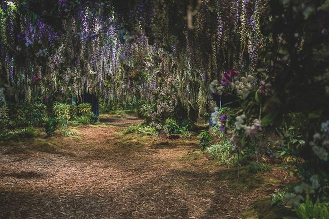 '도심 속 숲'을 주제로 한 신세계인터내셔날의 '연작·팀보타 특별전' 전시 모습. 아모레퍼시픽 신세계인터내셔날 제공