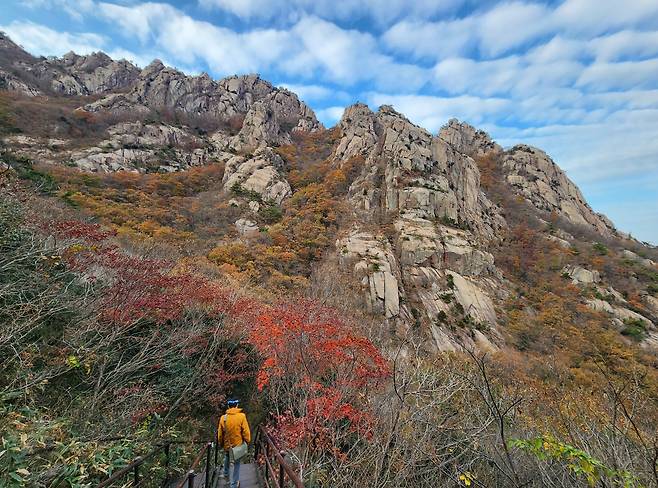 바람폭포길 방향은 가파른 경사의 계단으로 이뤄져 있다.(사진은 하산때의 모습)