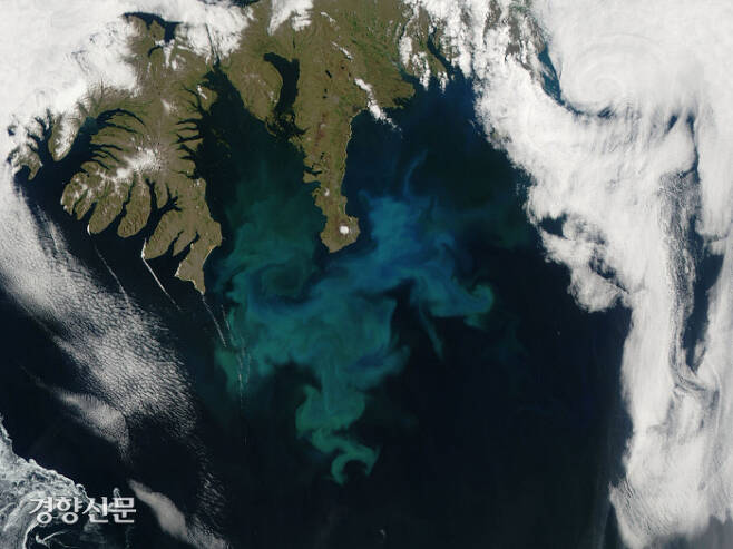 2010년 6월 북극 주변의 아이슬란드 근처 바다에서 인공위성 카메라에 식물성 플랑크톤(녹색 얼룩)이 촬영됐다. 식물성 플랑크톤은 바다 어디든 살지만, 햇빛이 투과되지 않는 해빙 아래는 예외일 것으로 과학계는 생각했다. 그런데 최근 10여년새 북극 해빙에 이어 남극 해빙 아래에서도 식물성 플랑크톤이 발견됐다. 미국 항공우주국(NASA) 제공
