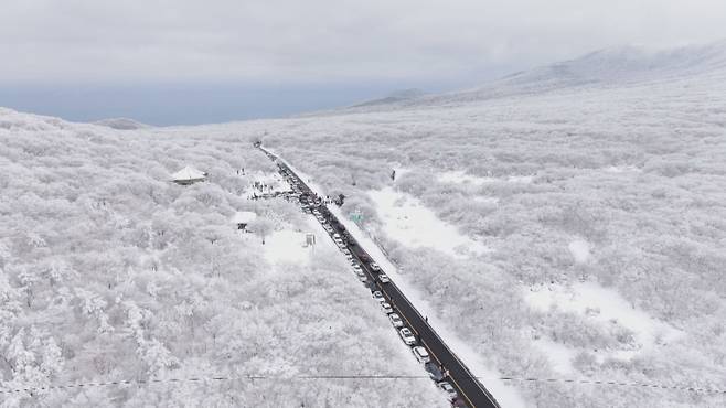 한라산 원시림 사이를 뚫고 만들어진 1100도로의 겨울 모습