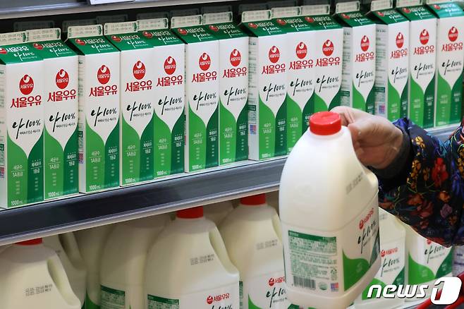 (서울=뉴스1) 조태형 기자 = 서울우유협동조합 노조가 사측과 임금 인상 폭 관련 협상에서 의견을 좁히지 못하며 7일 부분 파업에 돌입했다. 이에 따라 우유 수급에 차질이 생기는 게 아니냐는 우려가 나오고 있다. 서울우유는 일부 편의점에 우유 제품 공급이 원활하지 않을 수 있다는 사전 공지를 전날 보냈다. 이날 서울 시내 한 대형마트에서 시민이 서울우유를 구매하고 있다. 2022.12.7/뉴스1 Copyright (C) 뉴스1. All rights reserved. 무단 전재 및 재배포 금지.