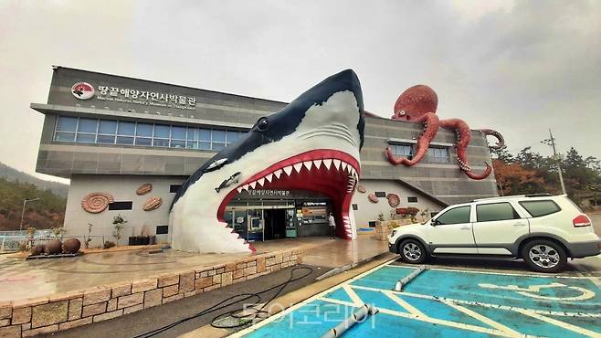 땅끝해양자연사박물관