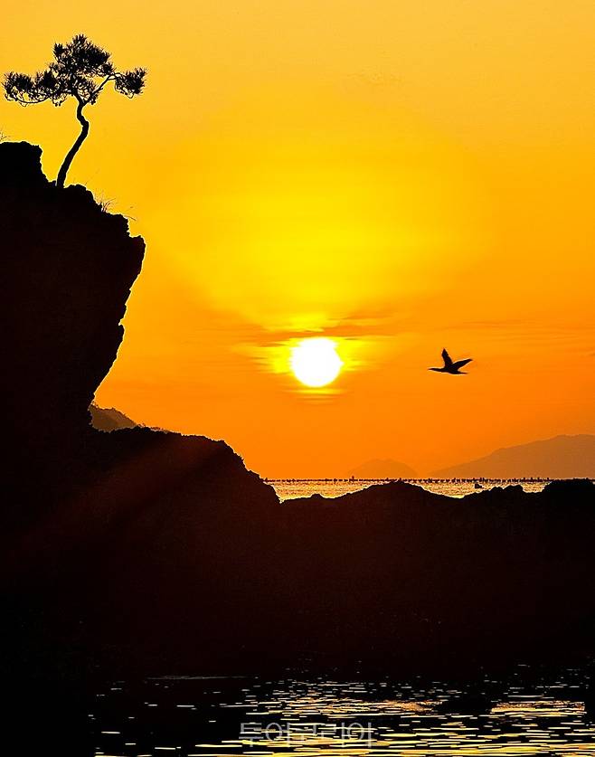 맴섬의 아침/사진-해남군