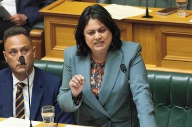 13일(현지시간) 뉴질랜드 의회에서 새 법률에 대해 설명하는 아이샤 베럴 장관의 모습. 연합뉴스