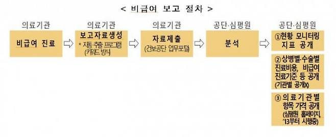 비급여 보고 절차. 보건복지부