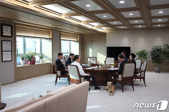 윤석열 대통령이 26일 용산 대통령실 청사에서 열린 수석비서관회의 사전 티타임에서 최근 분양받은 은퇴 안내견 '새롬이'를 바라보고 있다. (대통령실 제공) 2022.12.26/뉴스1 ⓒ News1 오대일 기자