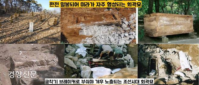 한국의 미라는 조선시대 회곽묘에서 발견된다. 조선시대 회곽묘는 석회, 가는모래, 황토를 3:1:1로 섞어 무덤 구덩이와 곽을 싸발라 밀봉하는 묘제이다, 완전히 밀봉되기 때문에 시신이 자연 미라가 되기 쉽다. 이집트 미라 같은 인공미라와 달리 외치처럼 체내 장기가 온전한 상태에서 노출된다. |고려대박물관·정광호의 \'학봉장군 부부 미라의 고병리학적 분석, 고려대 박사논문, 2010\'에서