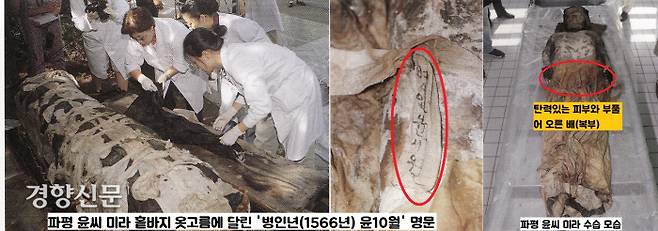 파평 윤씨 미라의 홑바지 옷고름에는 병인년(1566년) 윤시월이라는 명문이 선명하게 보였다. 파평 윤씨 미라의 특징은 피부의 탄력이 살아있고 옆구리가 심하게 부풀어있었다는 것이었다.