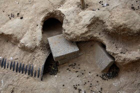 토끼굴 주변이 많이 더러워지면 동대문구에 민원을 넣어 청소하게끔 하며, 토끼들이 돌아다니다 다치지 않도록 파이프·받침대 등을 설치했다.