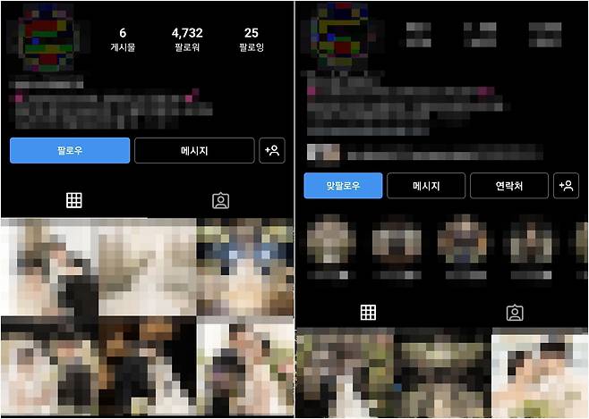 박씨의 사칭계정(왼쪽)과 박씨의 본 계정. /인스타그램 캡처