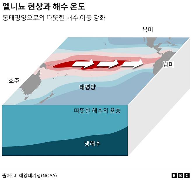 무역풍이 약해지는 엘니뇨 현상이 발생하면 따뜻한 온수가 평년보다 동쪽에 머물게 된다