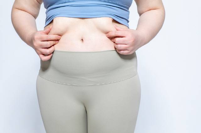 성인의 복부 비만이 관절염 위험을 1.6배 높일 수 있다는 연구결과가 국내에서 나왔다./사진=클립아트코리아