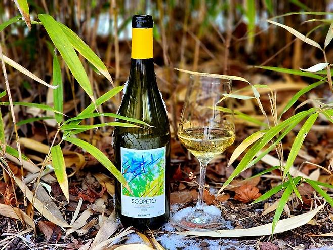 비비 그라츠 스코페토