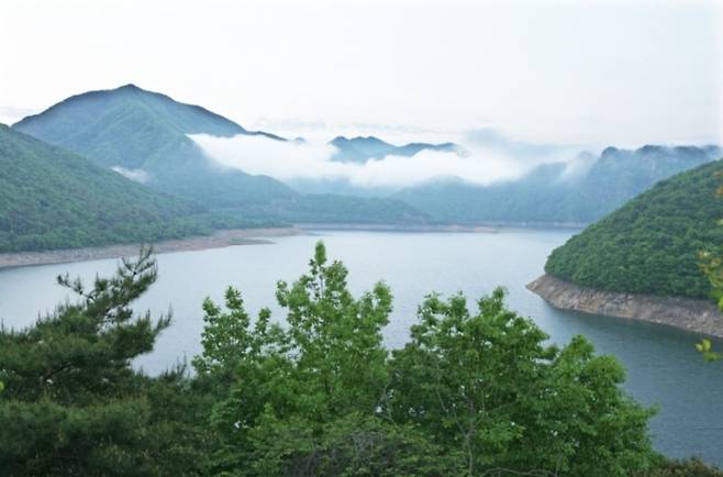 대아저수지. 조경아 해설사 제공