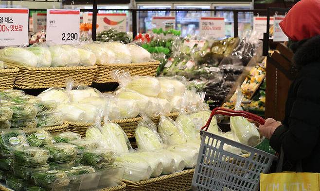 2일 서울 한 대형마트의 채소 매대. 연합뉴스