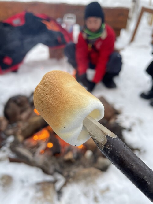 눈밭 위에 모닥불을 피워놓고 마시멜로를 구워먹는다. 이유진 기자