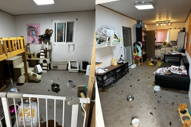경기도 광주 곤지암읍의 한 펫숍에서 개와 고양이 수십 마리가 방치된 채 발견됐다. 연합뉴스(신고자 제공)
