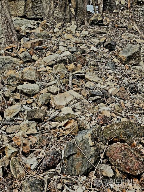 ▲ 동해시 이기동 백두대간 능선 아래 동점마을에서 발견된 쇠부리터에 선철작업을 할 때 나온 부산물인 슬러그 덩어리들이 주위에 널려 있는 모습.