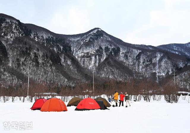 윈터피크닉 참가자들이 나리분지 설원에 텐트를 치고 겨울 캠핑을 즐기고 있다.