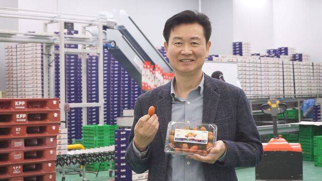 강성민 대표가 선별장에서 방울토마토에 스테비아를 첨가해 만든 우듬지팜의 대표 상품 ‘토망고’를 들어보이고 있다.