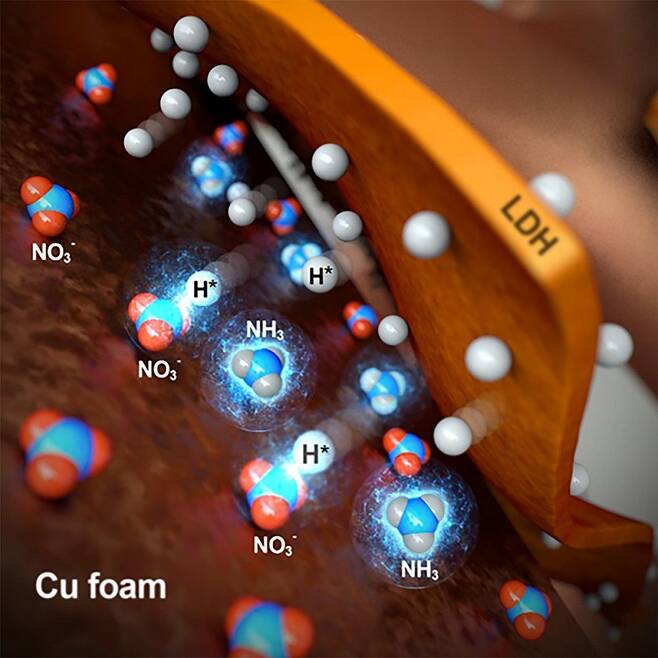 KAIST 연구진이 폐수에서 산업자원인 암모니아를 추출하는 기술을 개발했다. 구리·금 폼,니켈-철 층상이중수산화물을 이용한 질산염으로부터 암모니아 생산 모식도. /KAIST