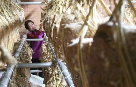 구수한 맛 강원 홍천 구만리 전통 메주 된장