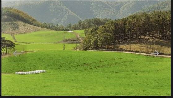 곰들이 살던 방목장 전경. 사진 방목장 관련 홈페이지 캡쳐