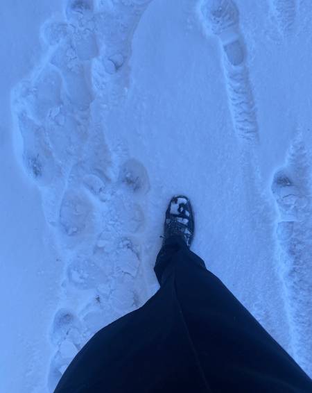 눈이 참 많이 오고 추웠던, 또 맑은 날이었다./사진=남형도 기자