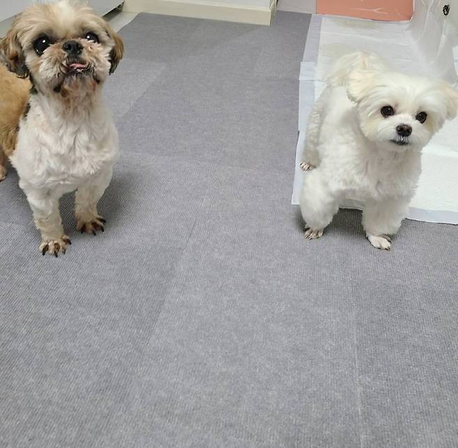 과거 잠적 전 경태아부지 SNS 계정에 올라온 태희(왼쪽)와 경태(온라인 커뮤니티 갈무리) /뉴스1