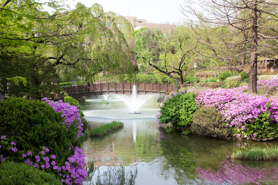A pond on campus that used to serve as a reservoir before the school, which was founded as an agricultural college, got promoted to a comprehensive university in 1987 [UNIVERSITY OF SEOUL]
