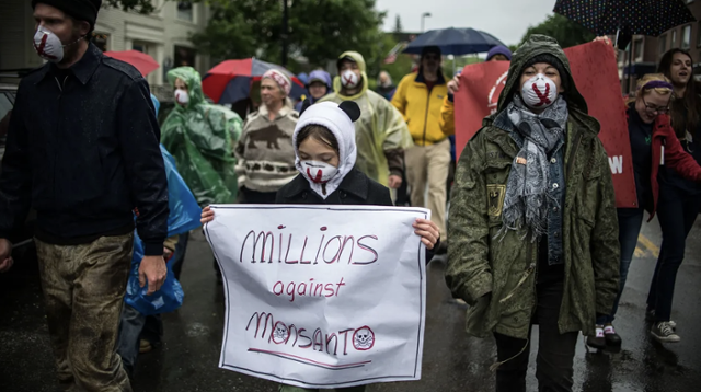 유전자 변형 농산물 종자 독점 기업인 몬산토와 GMO 식품에 반대해 2013년 5월 세계 52개국 436개 도시에서 '몬산토 반대 행진' 시위가 열렸다. 사진은 버몬트주 주도 몬트필리어 시민들의 시위 장면. AP 연합뉴스