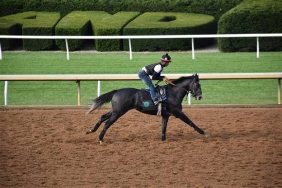 케이닉스 선발마 ‘닉스고’가 켄터키 킨랜드 경마장에서 경주하고 있는 모습. 한국마사회 제공