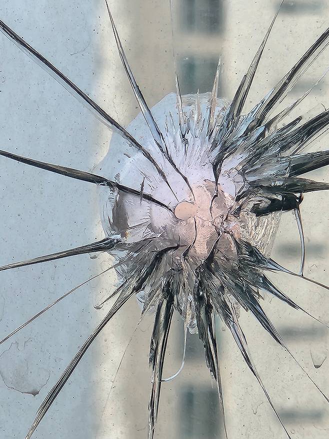 (사진 제공: 시청자)