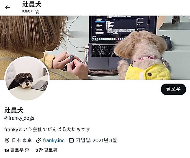 사진: 프랭키 사원견 트위터.