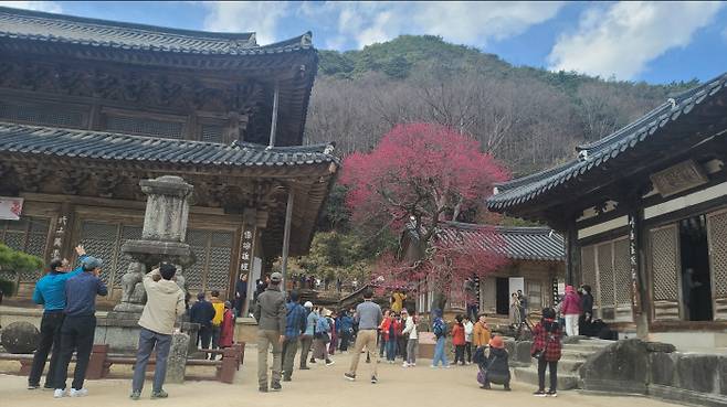 사진제공|화엄사