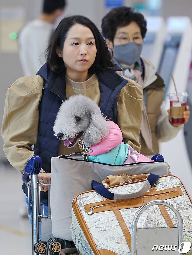 16일 오전 서울 김포공항 국내선 청사에서 탑승객이 반려견과 함께 ‘댕댕이 제주 전세기’ 탑승 수속을 위해 이동하고 있다. (공동취재) 2023.3.16/뉴스1 ⓒ News1 임세영 기자