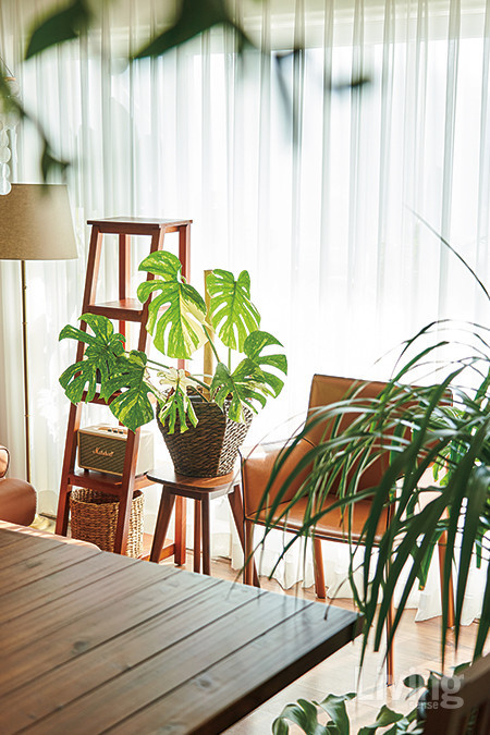 식물을 좋아하는 집주인은 집 안 곳곳에 화분을 놓고 식물 특유의 따뜻한 에너지를 즐긴다.