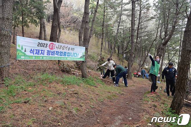 24일 열린 봄철 나무심기 행사에서 김진홍 동구청장, 공무원, 지역주민 등 90여 명이 구봉산 일원에 나무를 심고 있다.(부산동구 제공)