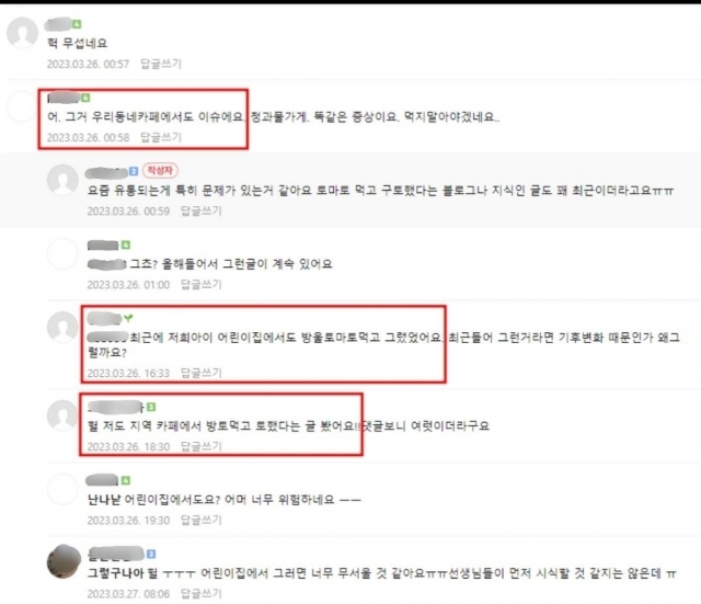 토마토 먹고 구토 증세 호소하는 글들. 온라인 커뮤니티 캡처, 연합뉴스