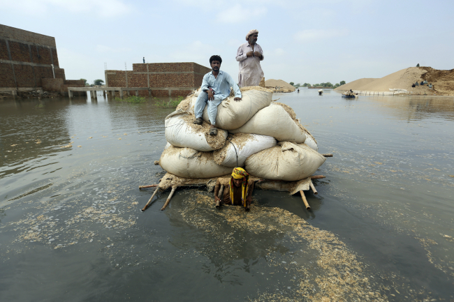지난해 9월 5일 파키스탄 남서부 발루치스탄주의 자파라바드에서 전례 없는 홍수 피해를 입은 주민들이 바지선을 이용해 가축 사료용 건초를 나르고 있다. AP연합뉴스