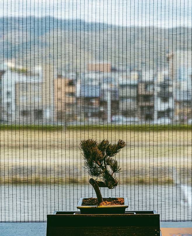 객실의 품위를 더하는 분재, 그리고 교토 풍경