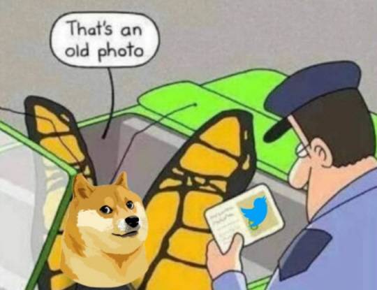 테슬라 CEO 일론 머스크가 3일(현지시간) 자신이 인수한 전 세계 대표적 SNS인 트위터의 로고를 기존의 파랑새에서 시바견으로 교체할 것임을 시사하는 그림을 자신을 트위터 계정에 게재했다. 트위터 캡처