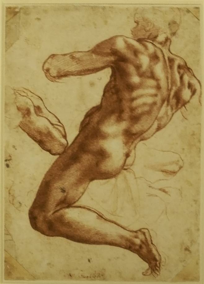 미켈란젤로 부오나로티, Study of an Ignudo