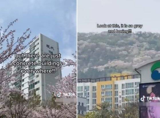 틱톡·온라인 커뮤니티 캡처