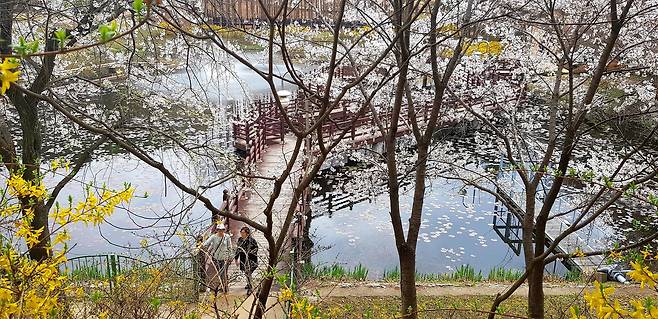 대청호에 위치한 청남대. /뉴스1