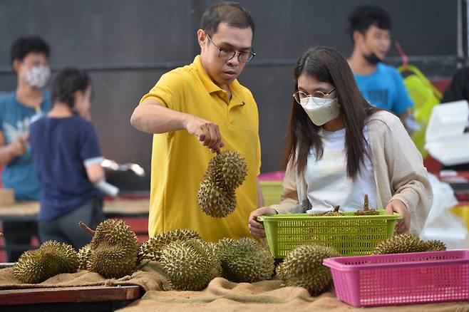 태국인이 23일 방콕의 농산물 시장에서 두리안을 고르고 있다. 방콕=신화통신·연합뉴스